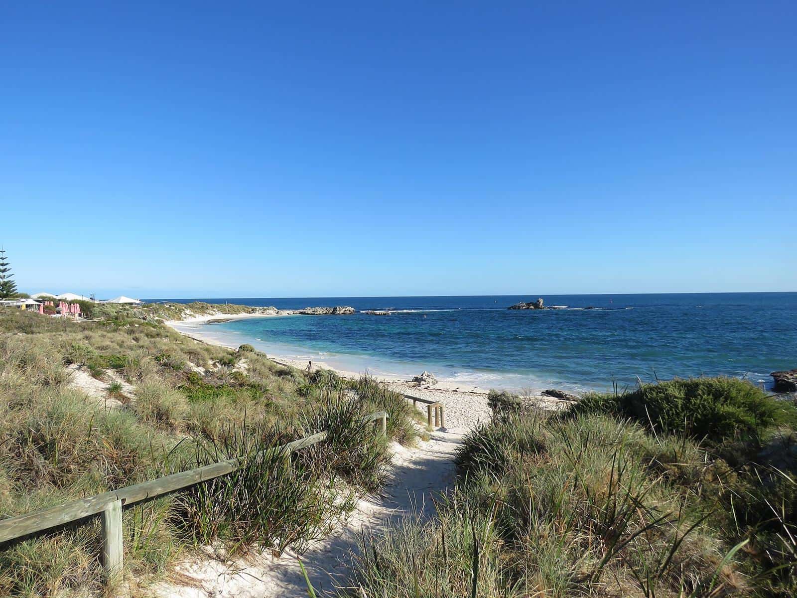 A sandy path leading down between low coastal shrubs to a turquoise bay on Rottnest Island